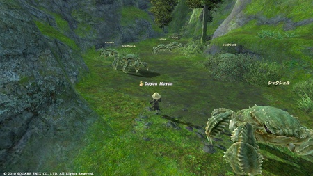 ffxiv20101025-01.jpg