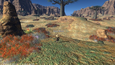 ffxiv20101027-01.jpg