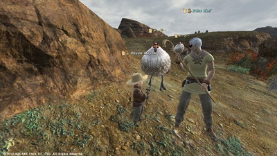 ffxiv20101105-01.jpg