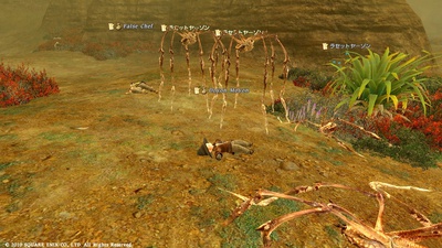 ffxiv20101109-02.jpg