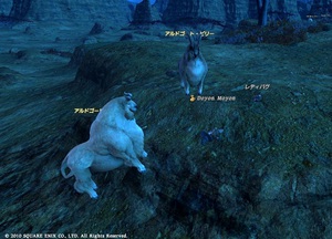 ffxiv20101109-03.jpg