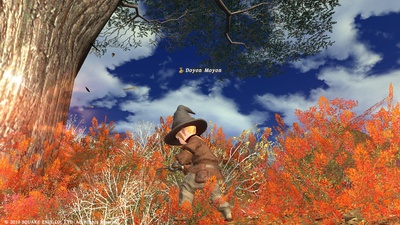 ffxiv20101115-01.jpg