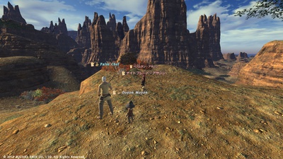 ffxiv20101121-01.jpg