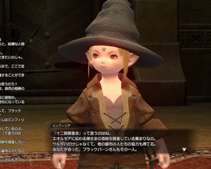 ffxiv20101122-01.jpg