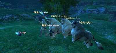 ffxiv20101122-03.jpg