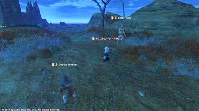 ffxiv20101124-02.jpg