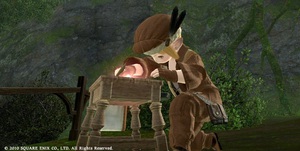 ffxiv20101208-01.jpg