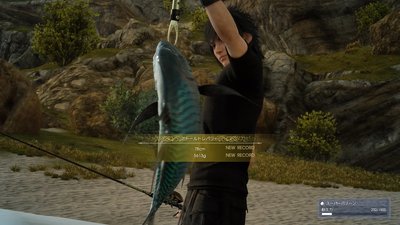 ffxv20161201-005.jpg