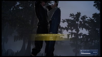 ffxv20161228-005.jpg