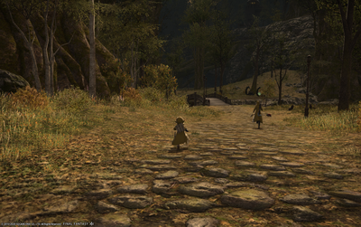 FF1420200521-004.png