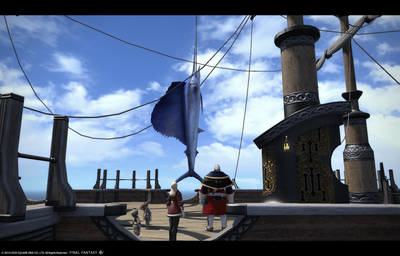 FF1420200606-002.png