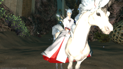 FF1420200822-009.png
