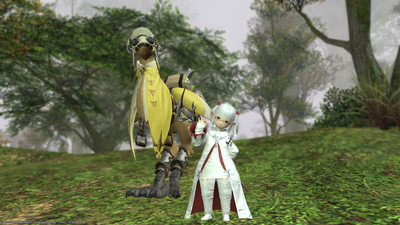 FF1420201003-009.png