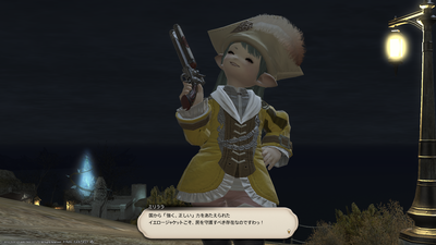 FF1420201206-001.png