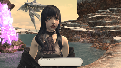 FF1420201206-010.png