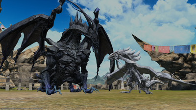 FF1420201206-011.png