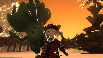 FF1420210708-007.png