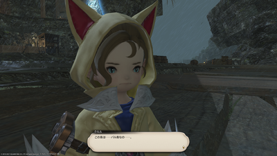 ff1420210830-007.png